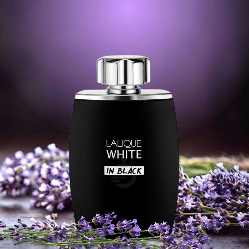 Lalique White in Black EDP 125ml