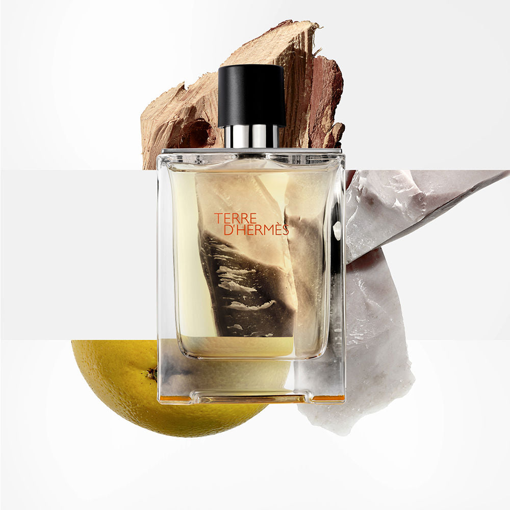 Terre D'Hermes edt 100 ml Hermes
