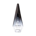 Givenchy Ange ou Démon EDP 100ml
