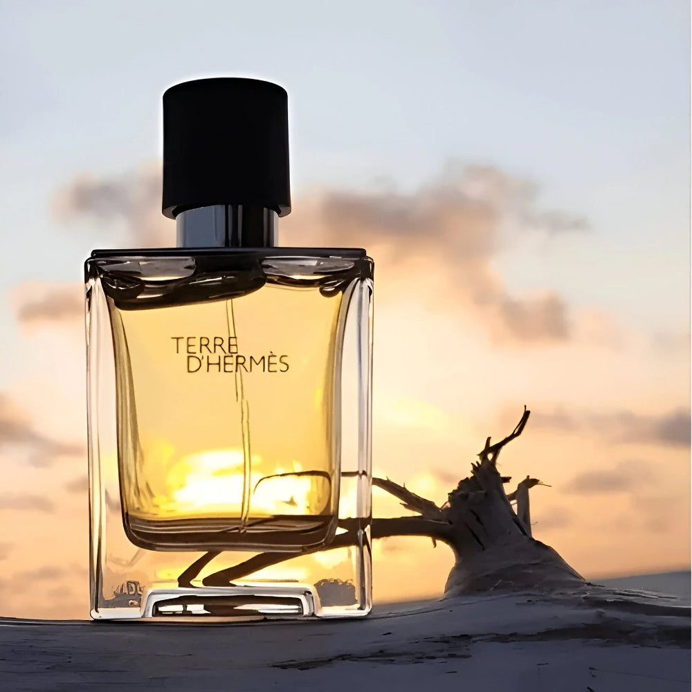 Terre D'Hermes edt 100 ml Hermes